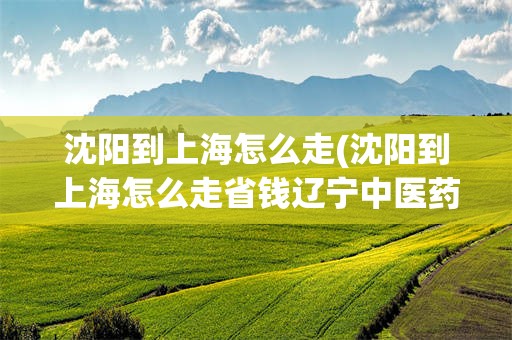 沈阳到上海怎么走(沈阳到上海怎么走省钱辽宁中医药大学附属医院)