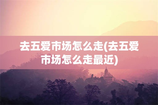 去五爱市场怎么走(去五爱市场怎么走最近)