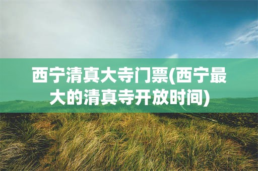 西宁清真大寺门票(西宁最大的清真寺开放时间)