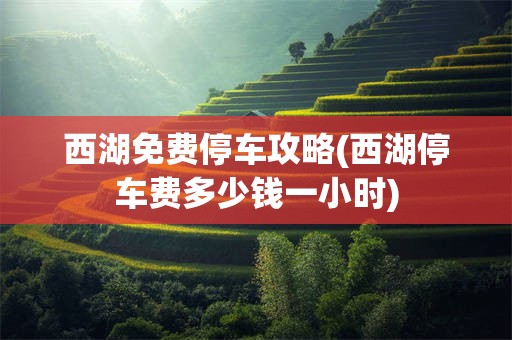 西湖免费停车攻略(西湖停车费多少钱一小时)