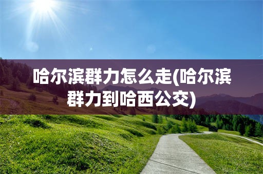 哈尔滨群力怎么走(哈尔滨群力到哈西公交)