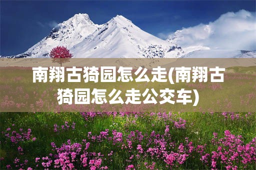 南翔古猗园怎么走(南翔古猗园怎么走公交车)