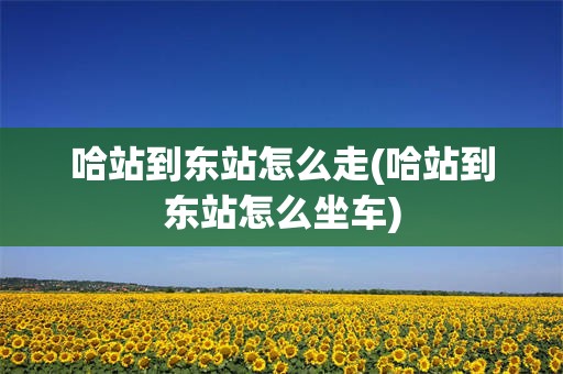 哈站到东站怎么走(哈站到东站怎么坐车)