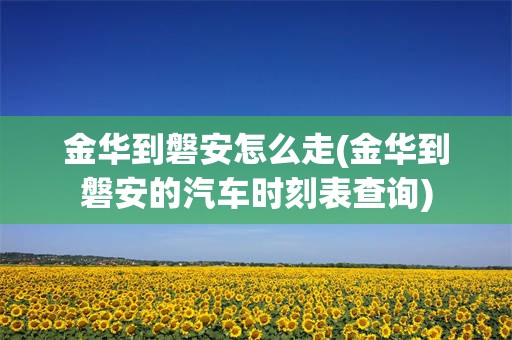 金华到磐安怎么走(金华到磐安的汽车时刻表查询)