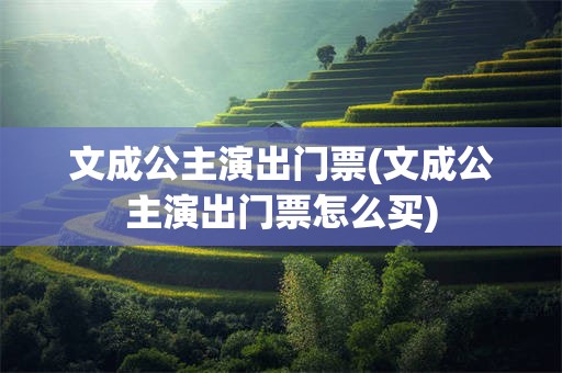文成公主演出门票(文成公主演出门票怎么买)