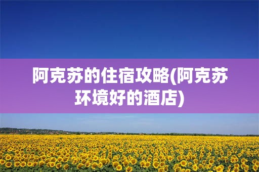 阿克苏的住宿攻略(阿克苏环境好的酒店)