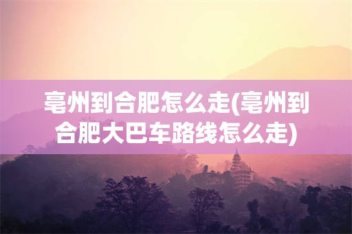 亳州到合肥怎么走(亳州到合肥大巴车路线怎么走)