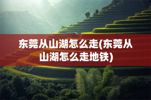 东莞从山湖怎么走(东莞从山湖怎么走地铁)