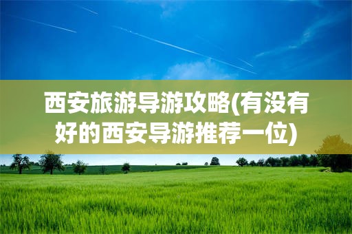 西安旅游导游攻略(有没有好的西安导游推荐一位)