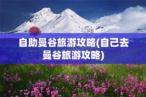 自助曼谷旅游攻略(自己去曼谷旅游攻略)