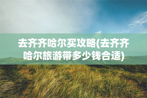 去齐齐哈尔买攻略(去齐齐哈尔旅游带多少钱合适)