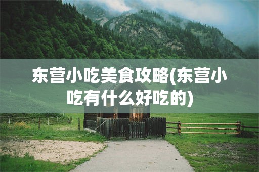 东营小吃美食攻略(东营小吃有什么好吃的)