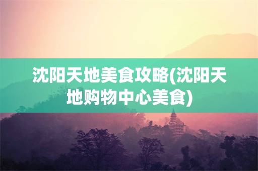 沈阳天地美食攻略(沈阳天地购物中心美食)