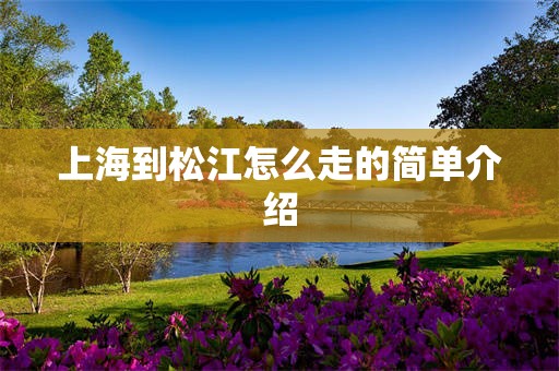 上海到松江怎么走的简单介绍