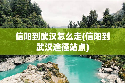 信阳到武汉怎么走(信阳到武汉途径站点)