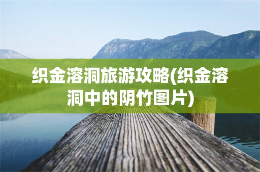 织金溶洞旅游攻略(织金溶洞中的阴竹图片)