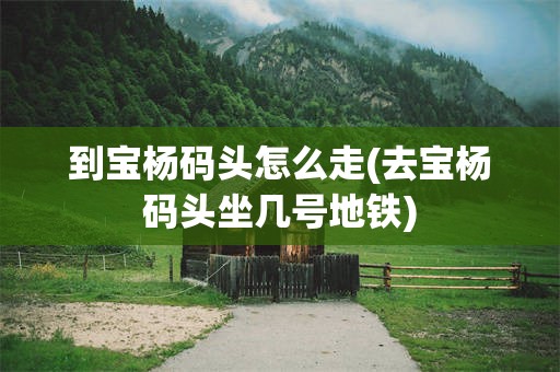 到宝杨码头怎么走(去宝杨码头坐几号地铁)