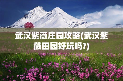 武汉紫薇庄园攻略(武汉紫薇田园好玩吗?)