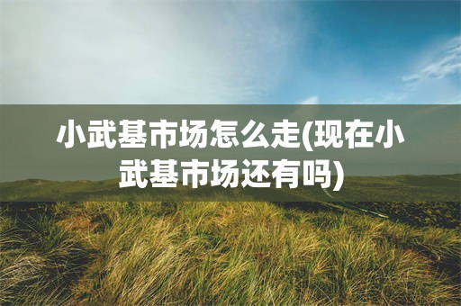 小武基市场怎么走(现在小武基市场还有吗)