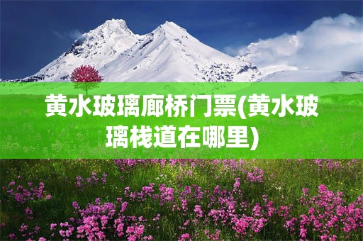 黄水玻璃廊桥门票(黄水玻璃栈道在哪里)