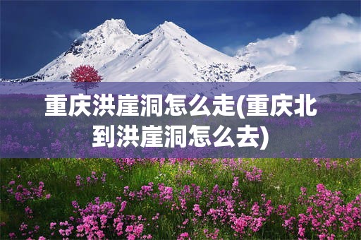 重庆洪崖洞怎么走(重庆北到洪崖洞怎么去)