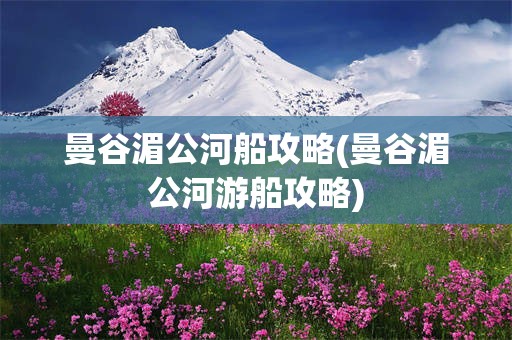 曼谷湄公河船攻略(曼谷湄公河游船攻略)