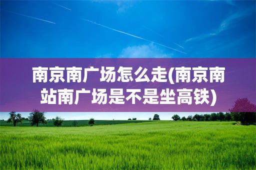 南京南广场怎么走(南京南站南广场是不是坐高铁)