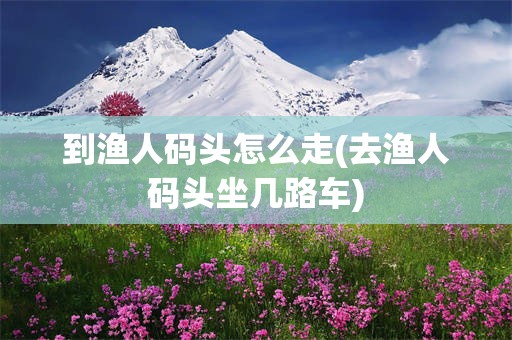 到渔人码头怎么走(去渔人码头坐几路车)