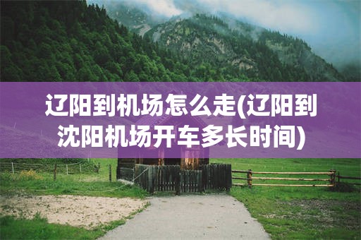 辽阳到机场怎么走(辽阳到沈阳机场开车多长时间)