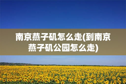 南京燕子矶怎么走(到南京燕子矶公园怎么走)
