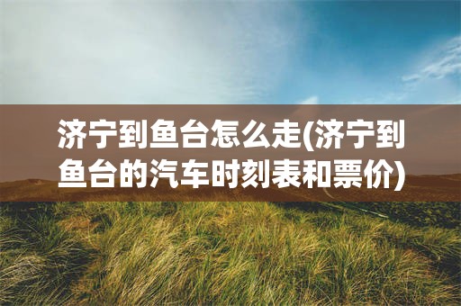 济宁到鱼台怎么走(济宁到鱼台的汽车时刻表和票价)