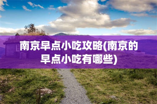 南京早点小吃攻略(南京的早点小吃有哪些)