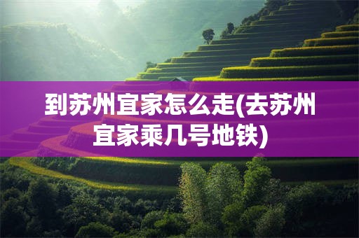 到苏州宜家怎么走(去苏州宜家乘几号地铁)