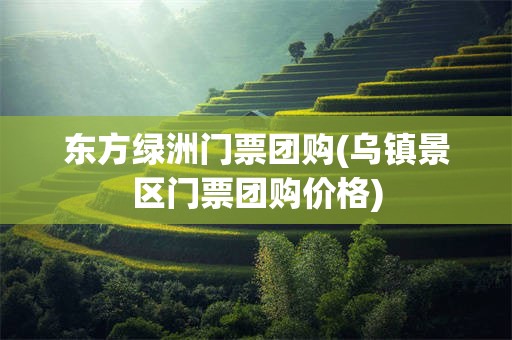 东方绿洲门票团购(乌镇景区门票团购价格)
