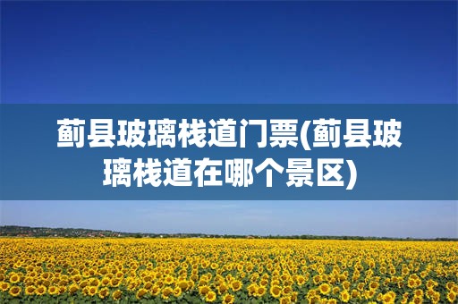蓟县玻璃栈道门票(蓟县玻璃栈道在哪个景区)