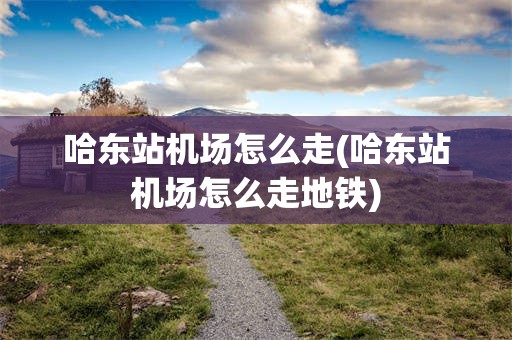 哈东站机场怎么走(哈东站机场怎么走地铁)