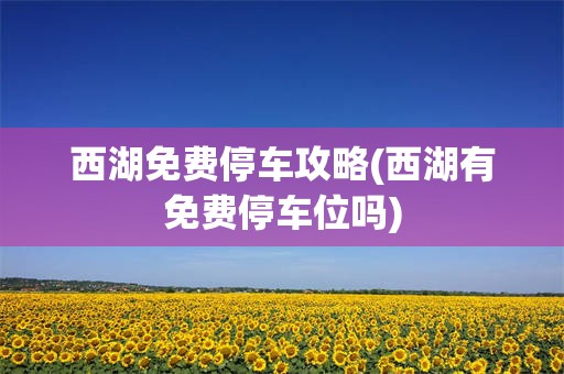 西湖免费停车攻略(西湖有免费停车位吗)