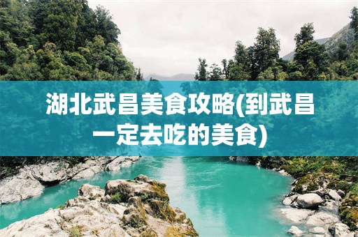 湖北武昌美食攻略(到武昌一定去吃的美食)