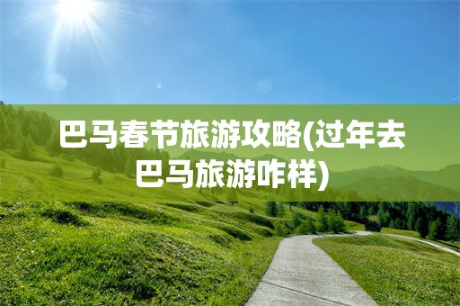 巴马春节旅游攻略(过年去巴马旅游咋样)