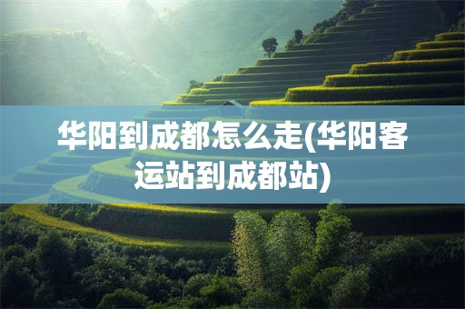 华阳到成都怎么走(华阳客运站到成都站)