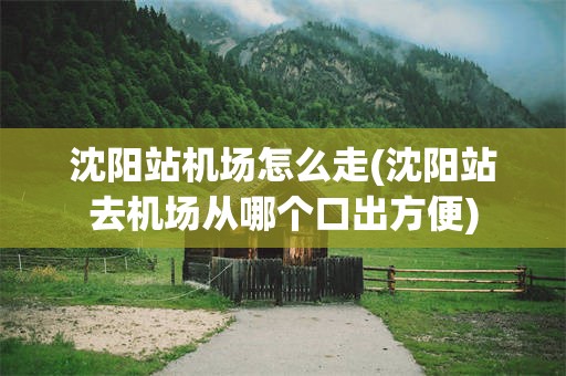 沈阳站机场怎么走(沈阳站去机场从哪个口出方便)