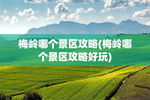 梅岭哪个景区攻略(梅岭哪个景区攻略好玩)