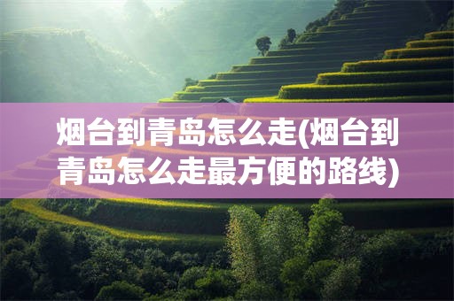 烟台到青岛怎么走(烟台到青岛怎么走最方便的路线)