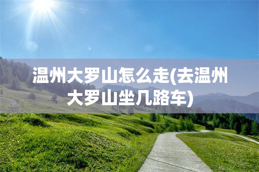 温州大罗山怎么走(去温州大罗山坐几路车)