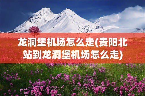 龙洞堡机场怎么走(贵阳北站到龙洞堡机场怎么走)