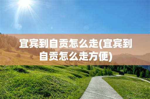 宜宾到自贡怎么走(宜宾到自贡怎么走方便)