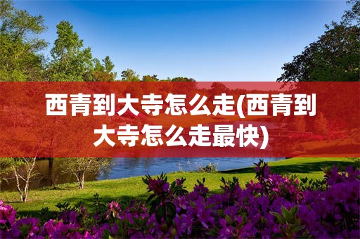 西青到大寺怎么走(西青到大寺怎么走最快)