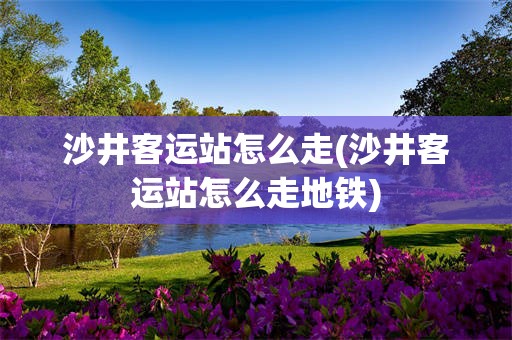 沙井客运站怎么走(沙井客运站怎么走地铁)