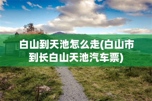 白山到天池怎么走(白山市到长白山天池汽车票)