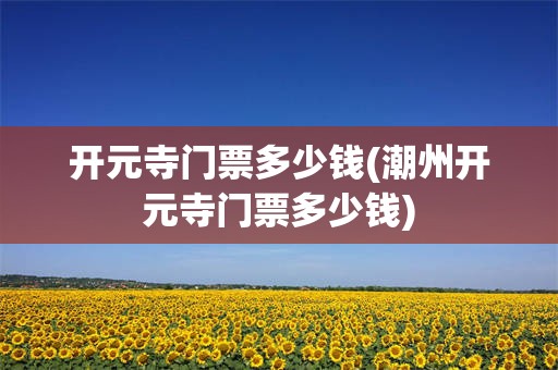 开元寺门票多少钱(潮州开元寺门票多少钱)